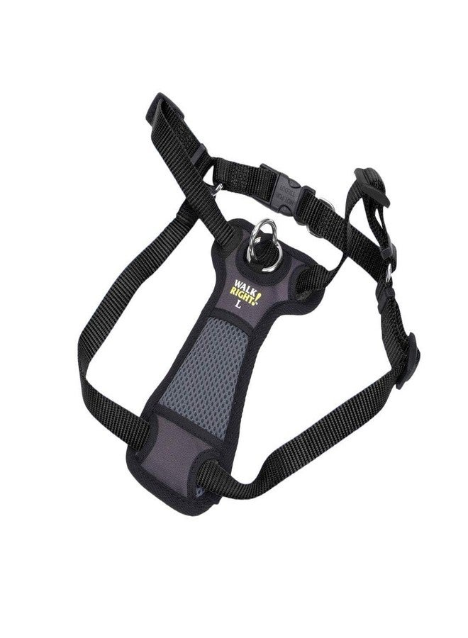 Coastal Pet Walk Right Front-Connect No-Pull Padded Dog Harness - Adjustable & Comfortable Dog Harness - Small & Large Breed Fit - Quality Pet Supplies - Black, LRG (26"-38") - Image 4